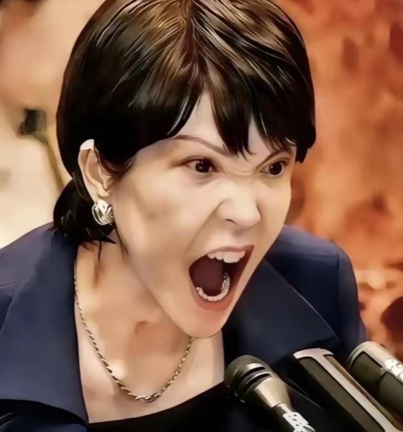 万万没想到！台积电董事长魏哲家当着日本首相的面，直接摊牌：台积电在日本的熊本二厂