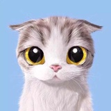 霏琪热看娱乐