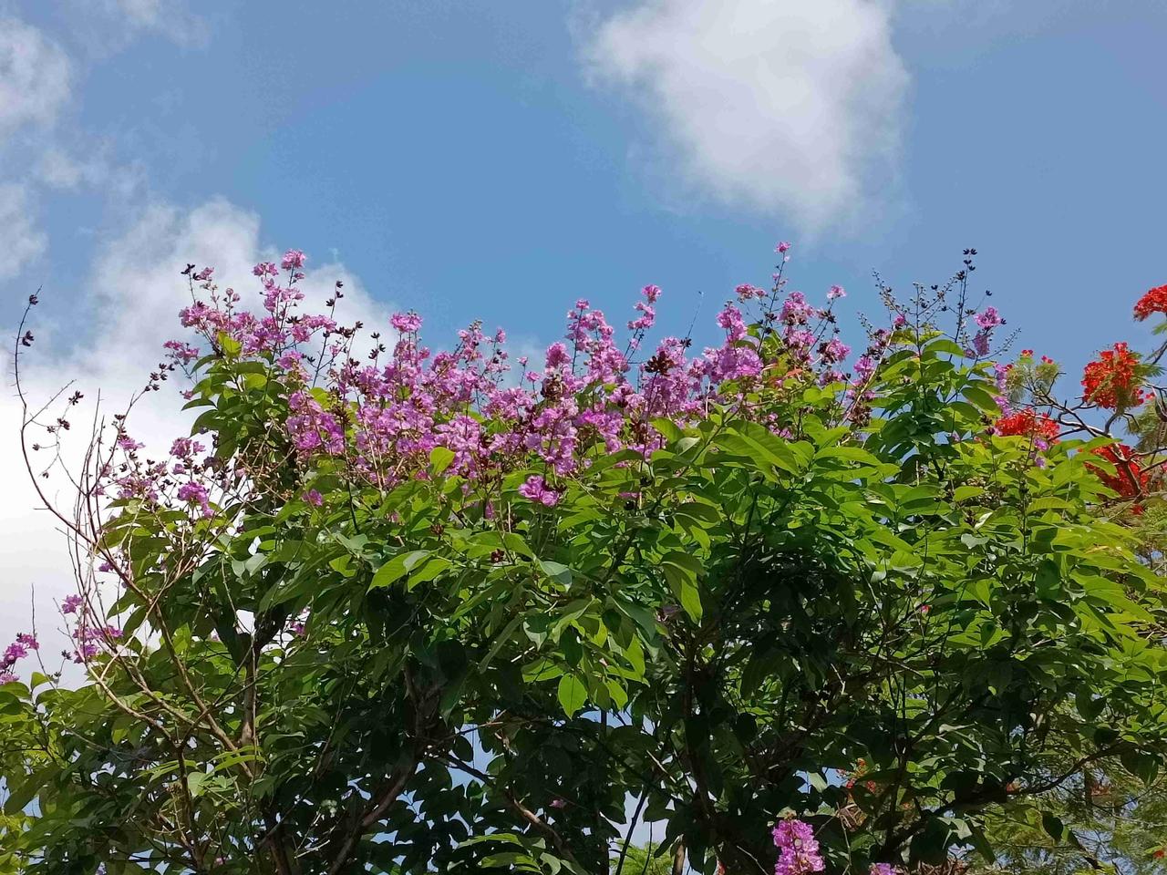 我的今日状态：💰期待暴富
我这里的天气：☀️晴天