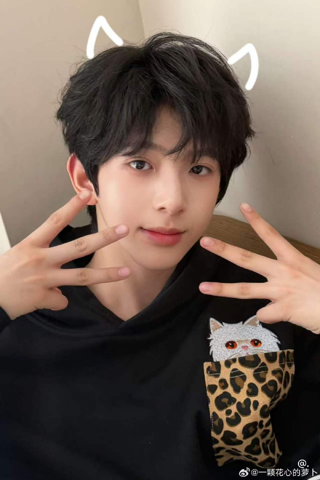 陈浚铭陈浚铭小猫贴纸陈浚铭小猫来的 这个陈浚铭完全小猫吧~ 