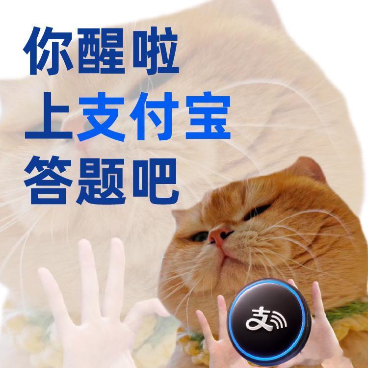 支付宝答题全国统考正式开始 刷到卫诗雅都在玩支付宝答题我也来了，影后都在疯狂暗示
