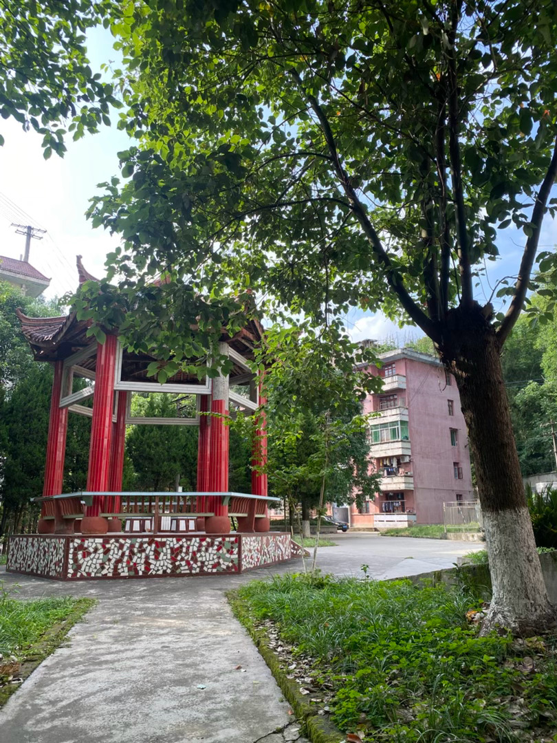 不管你现在多迷茫，过得多累，走得多艰辛，请相信，生命中总有一段路是要你自己走完的