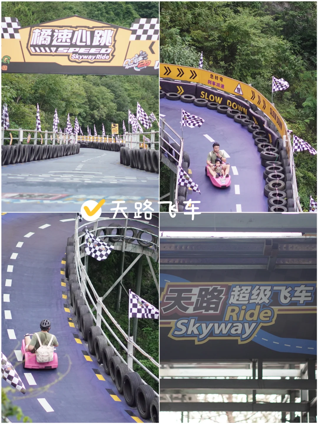 暑假去哪玩？｜江浙沪说走就走的任性