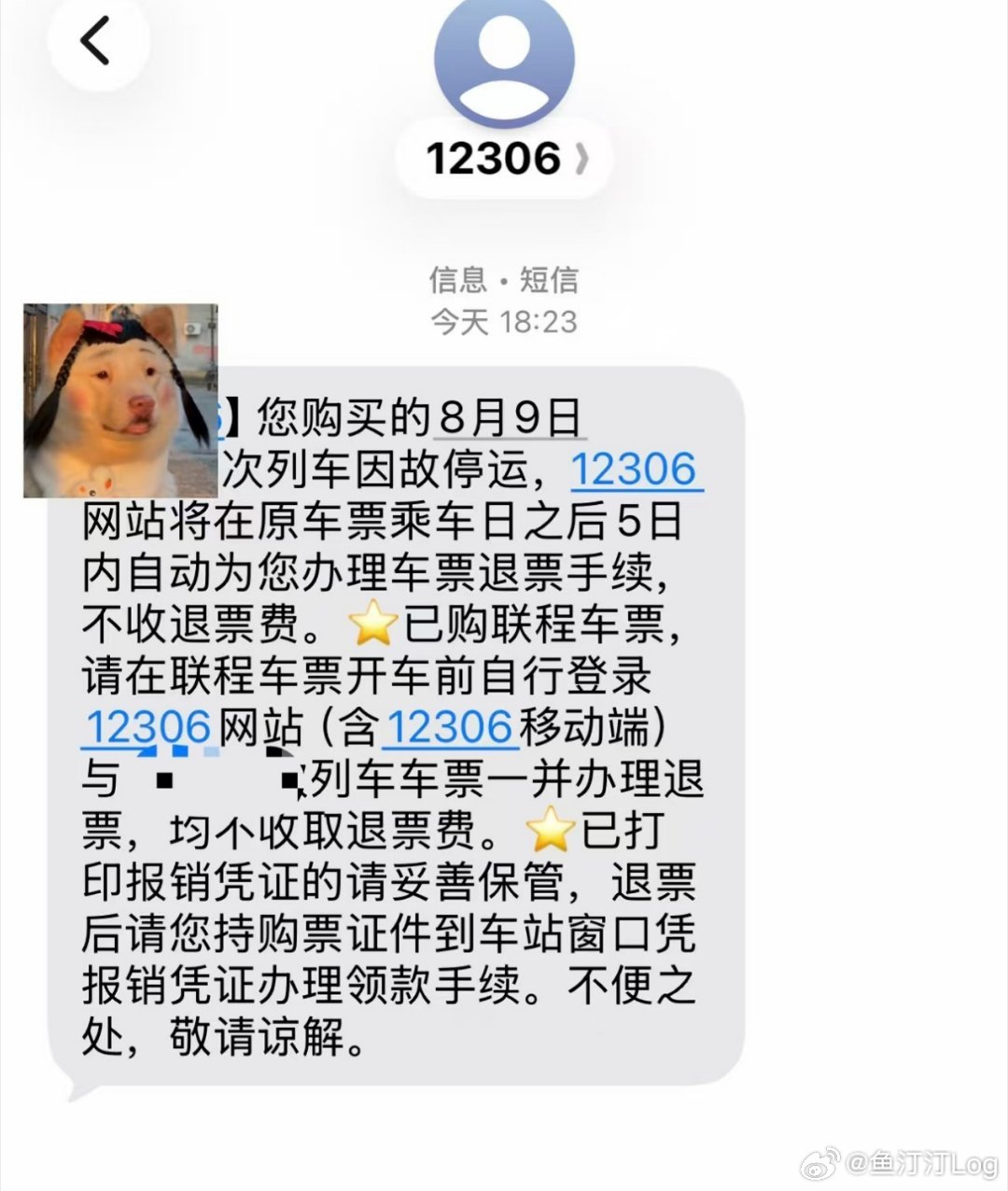 白海豚 上班红色预警可以居家办公也是赶上了跟台风比起来，好事还是坏事？ 