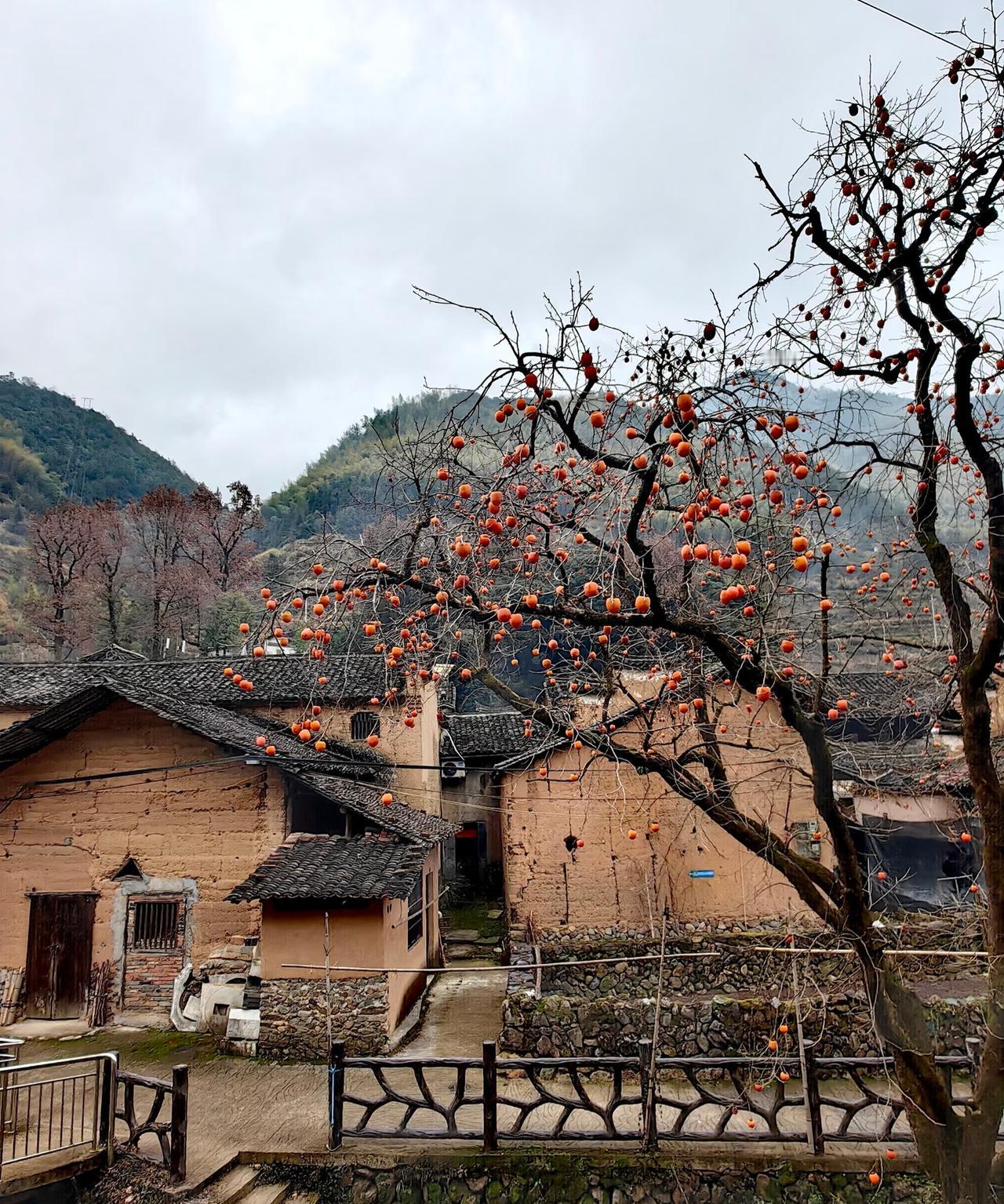 丽水松阳古村落大环线
这里就是被《国家地理》誉为
“江南最后的秘境”的松阳
它保