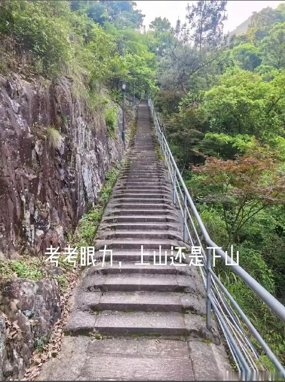 不是我吹！问了800个人了，上山下山傻傻分不清楚！我敢打赌！谁能一眼正确看出来，