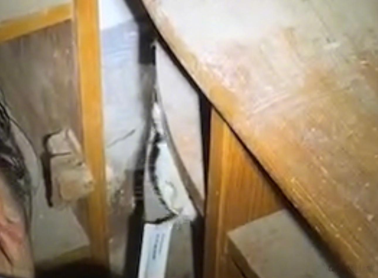 亲戚家的猫在昨晚上走丢了，她们找了一天没有找到。娃通知我，让我必须去帮助找猫。因