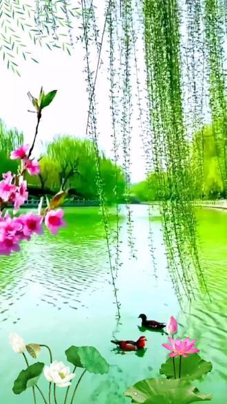5月5日立夏，马年春末只剩一个星期。
春风时暖时寒，春花次第盛衰，自始至终春色渐