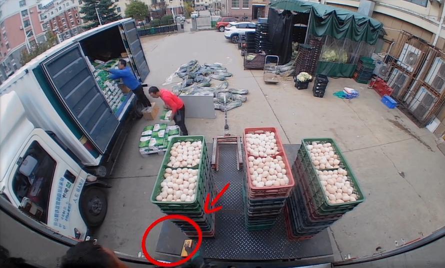 “活该她发财！”11月8日，山东威海，一男子第一天上班，搬运鸡蛋时按错了按钮，导