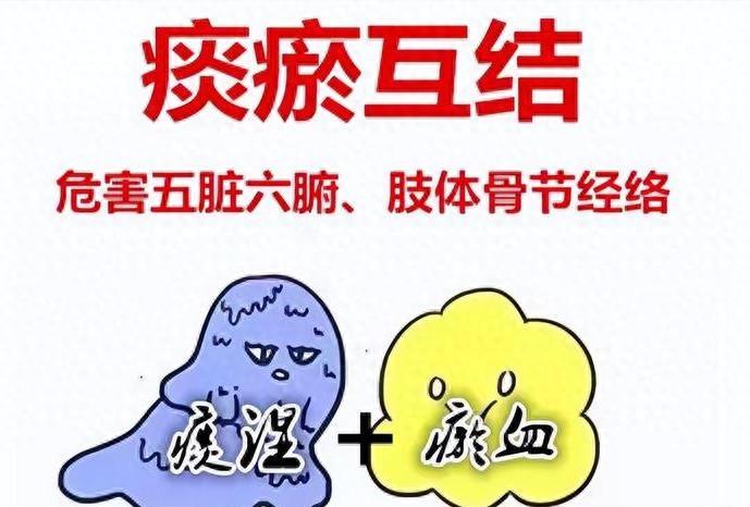 仅 3 味药的中成药！排浊清脂、通六腑、畅三焦，一身瘀痰全扫净
我是中医陈大夫，