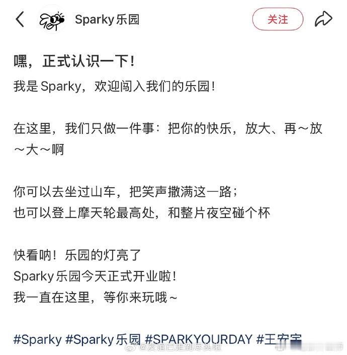王安宇也做潮牌了95生标配  紧跟圈内潮流！王安宇官宣筹备潮牌，演唱会、自主品牌
