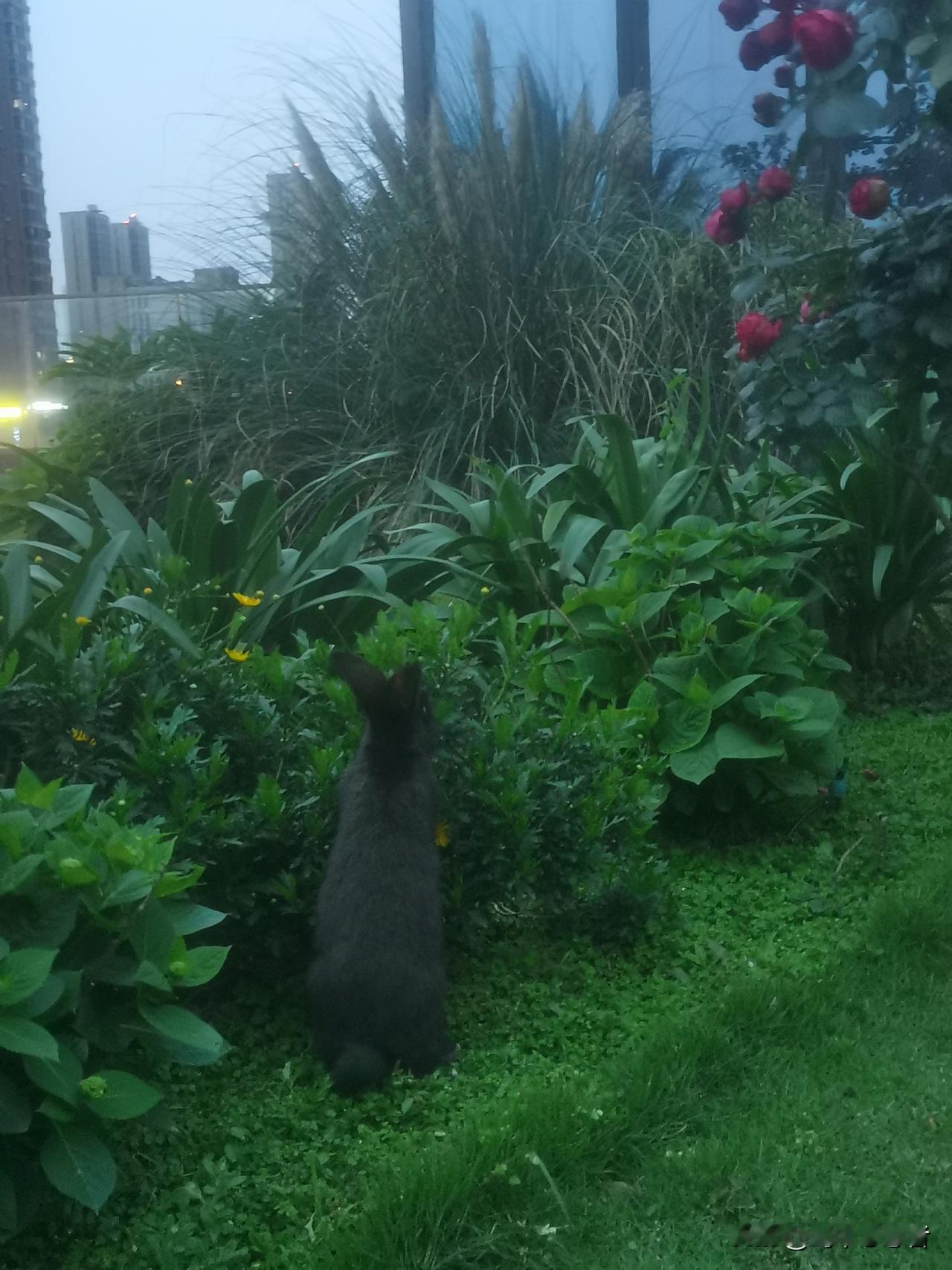 川超凉山击败成都，打破了成都的全胜纪录。足球嘛，毕竟是圆的，全靠脚来踢，充满了不