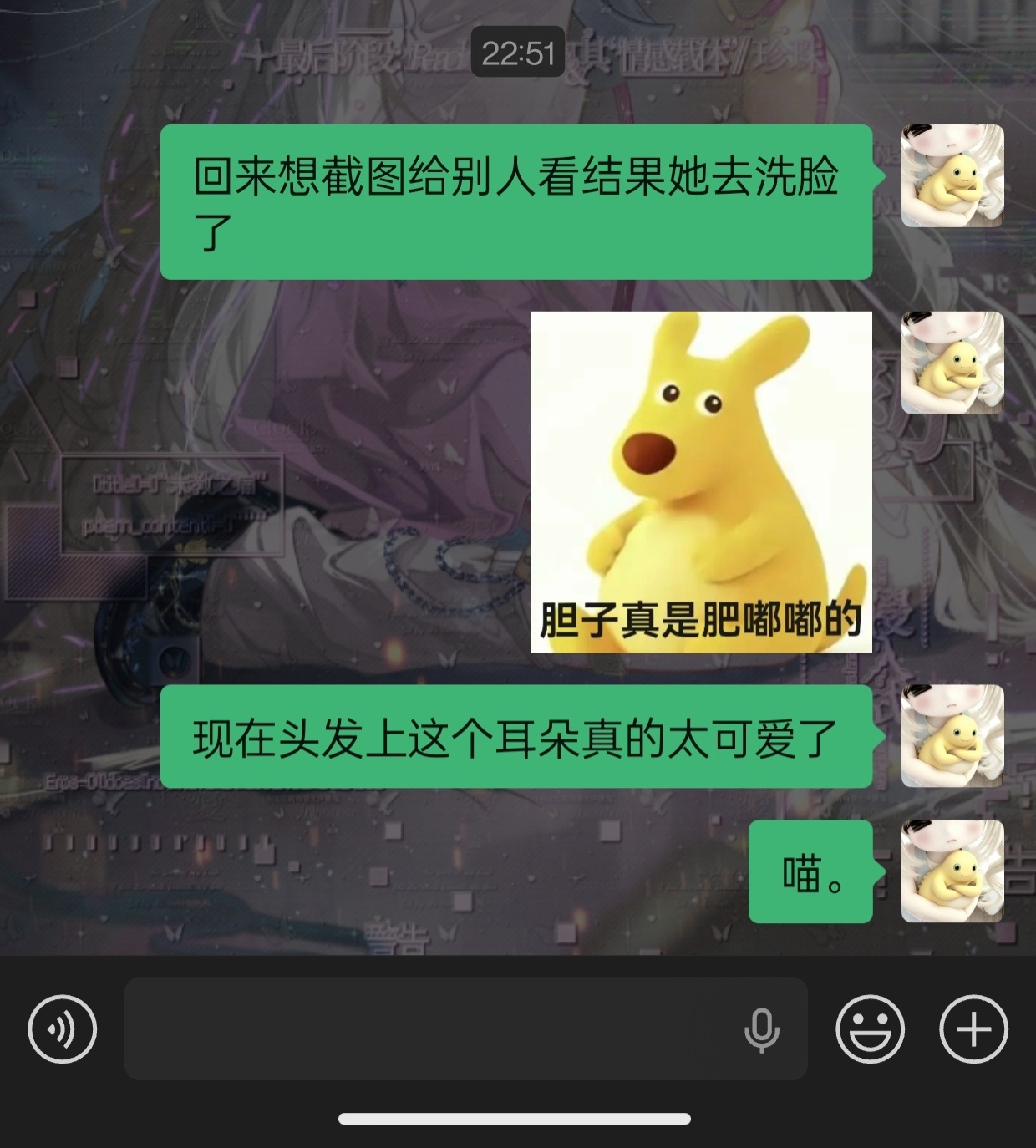 蓝儿你是一只漂亮小猫。。 ​​​