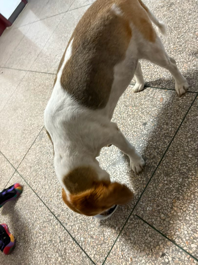 在家好好吃饭哈