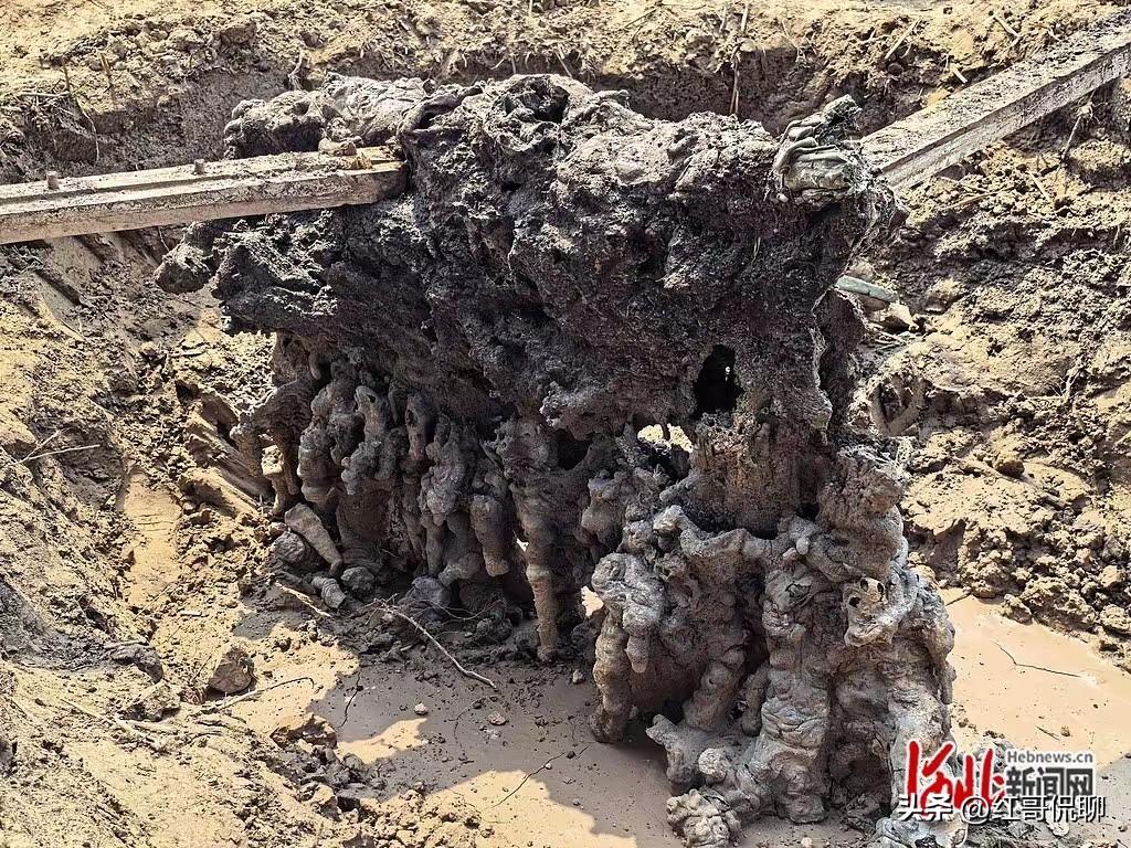 闪电惊雷过后，河北衡水麦田出现怪石，河北地质大学专家判定其为“闪电熔岩”，属罕见
