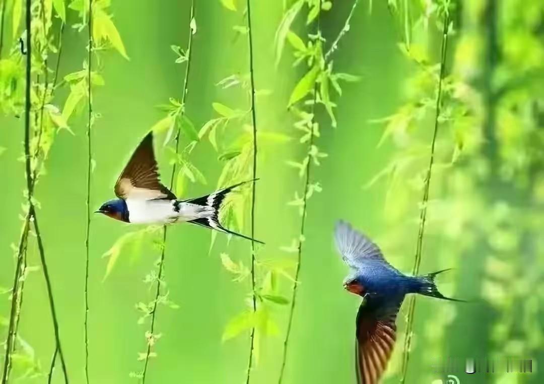 七绝《致友人》
 
淡饭清茶溢浅香，
安然静守沐祥光。
片言难尽相思意，
遥送温