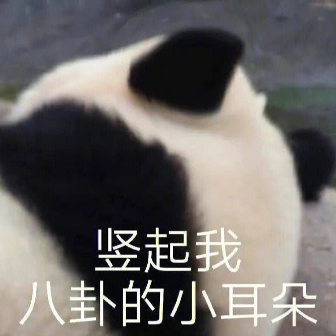 聊天可爱表情包 更新不易，拿图点赞[心]更多表情包请看主页[心] ​​​