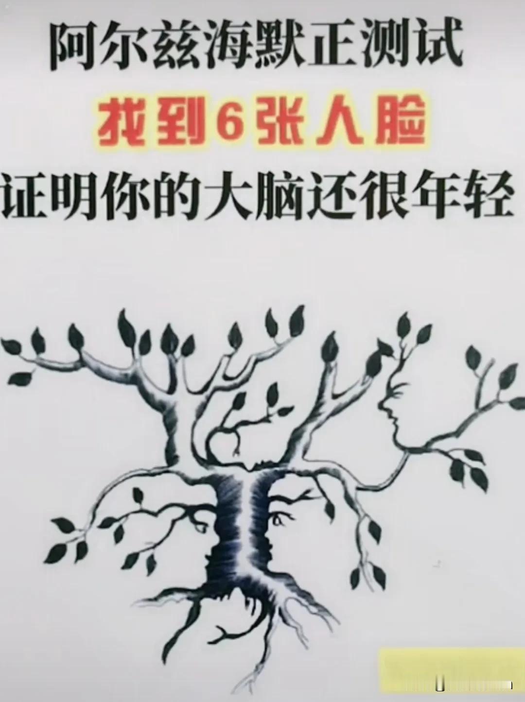 五张轻轻松松搞定，最后一张有点难度，耐着性子得仔细看#晒晒你的观察力# #视力大