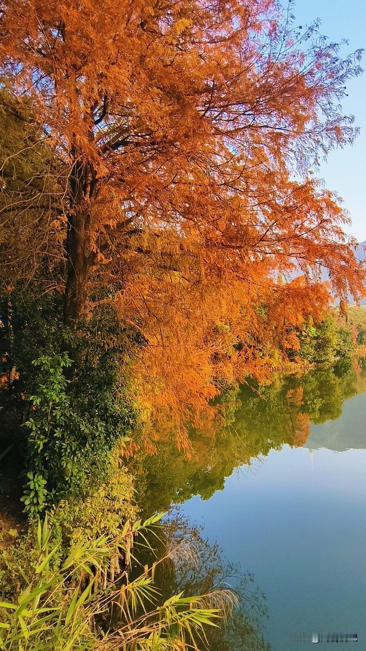 杨绛先生很治愈的一句话：
我过着自己的生活，
如诗般简单而精致。
能轻易失去的东