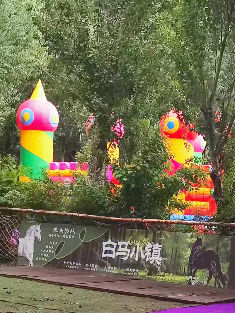 你旅游时会尝试惊险项目吗（37～2）这可能与自己的性格有关吧，反正我外出旅游时，