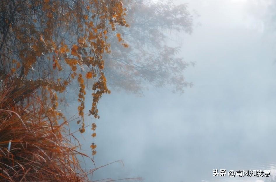 “此情有憾”


奈何情深缘浅，相逢终究路人
从此山水不问，余生各自安身
往事如