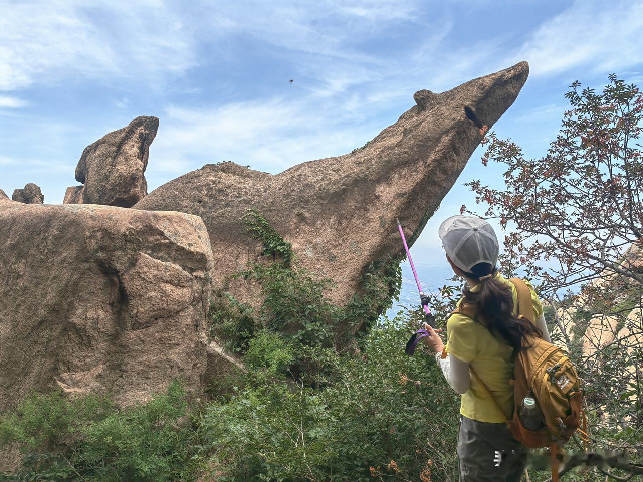 最近，青岛火了两座山：
三标山和铁橛山，成了户外徒步圣地。
这要归功于抖音流量的