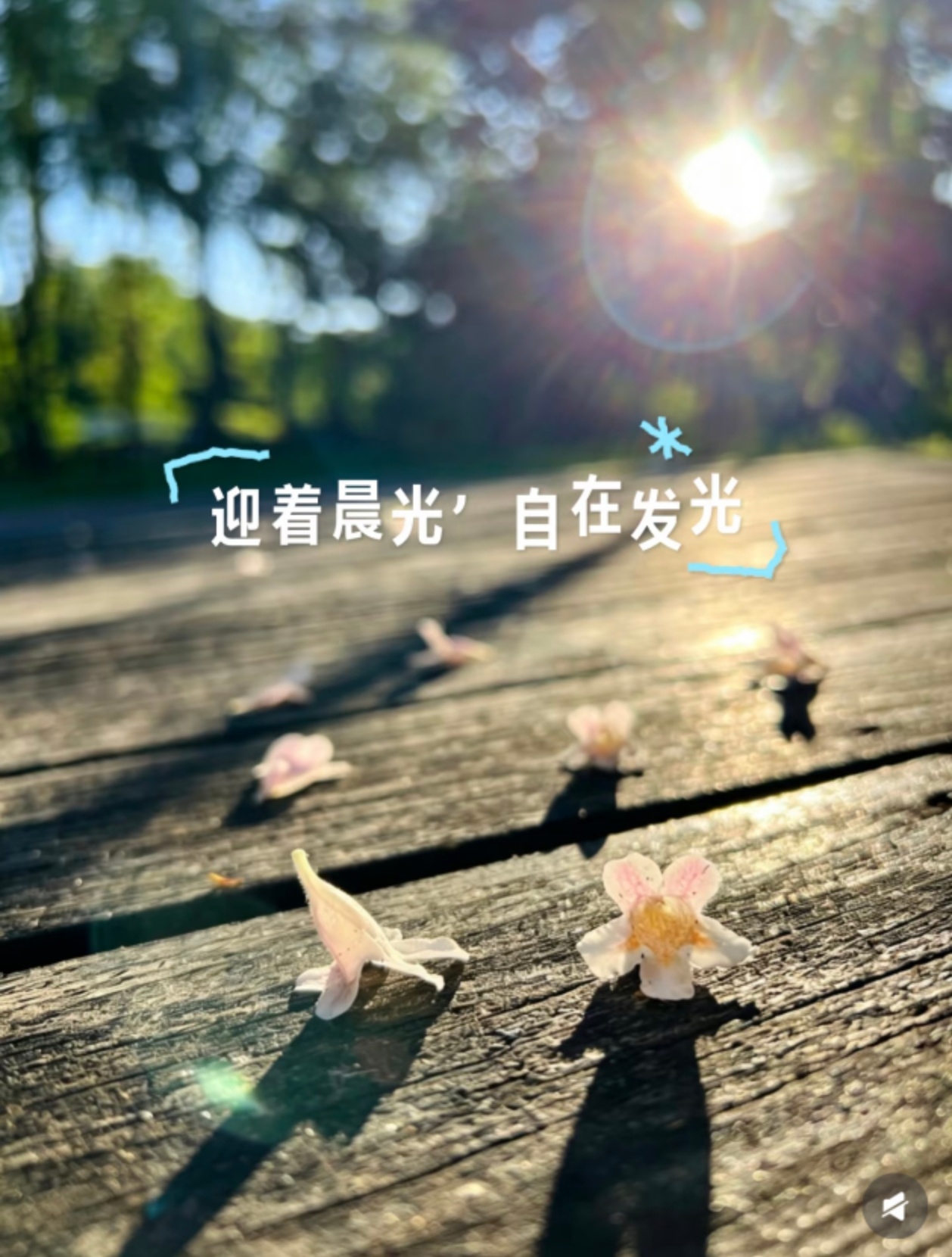 迎着晨光，自在发光世人都追求圆满无瑕都催促我们事事周全！清晨推开窗忽然读懂一句温