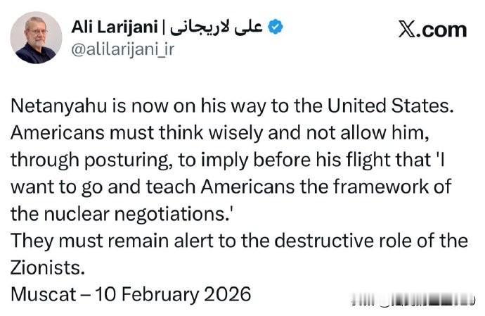 出访阿曼的伊朗国家安全委员会秘书阿里·拉里贾尼在社交媒体上发文警告说：“内塔尼亚