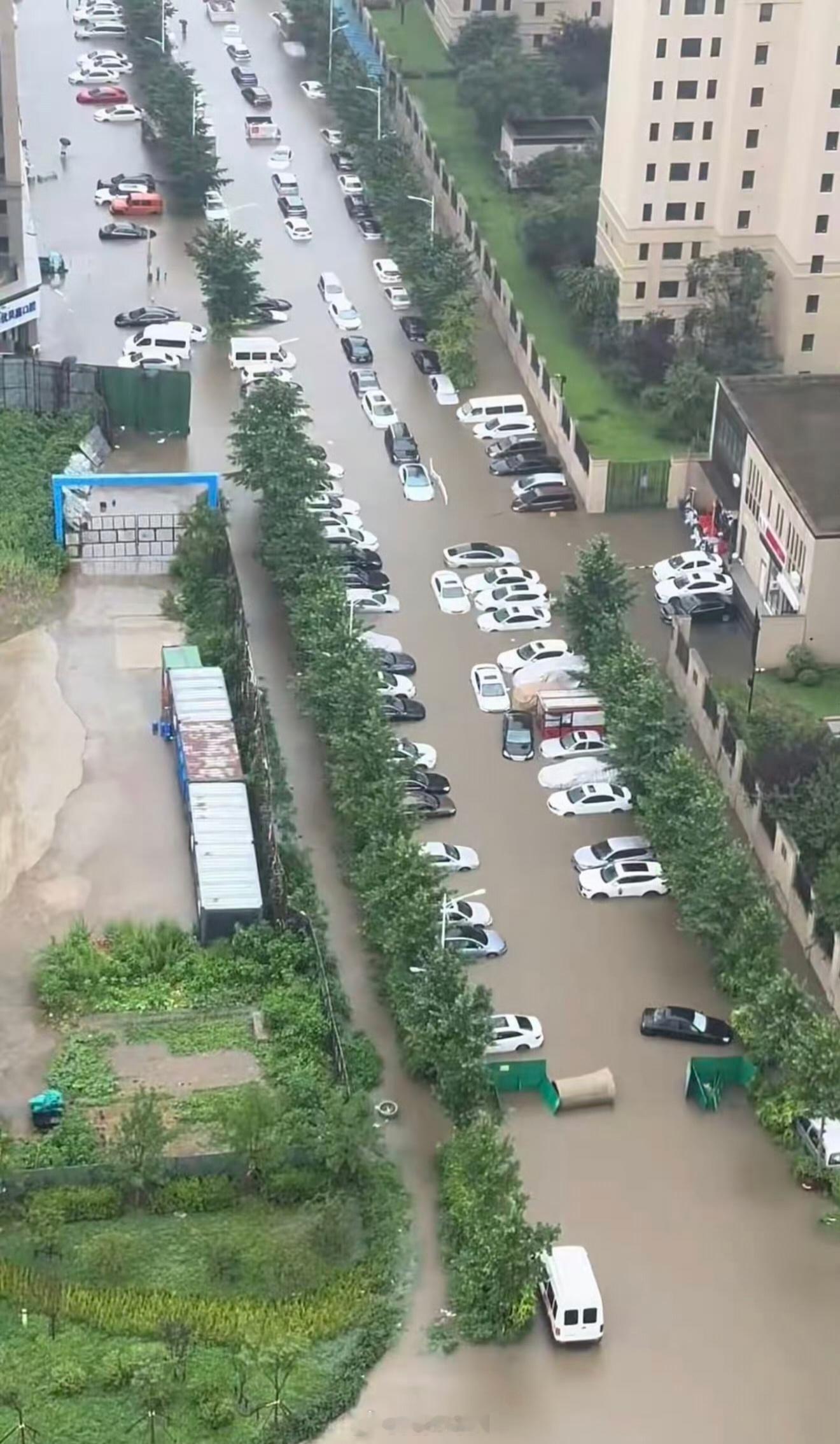 沈阳百年一遇暴雨虽然大暴雨，沈阳人民还是自带松弛感的，游泳，划船都用上了 