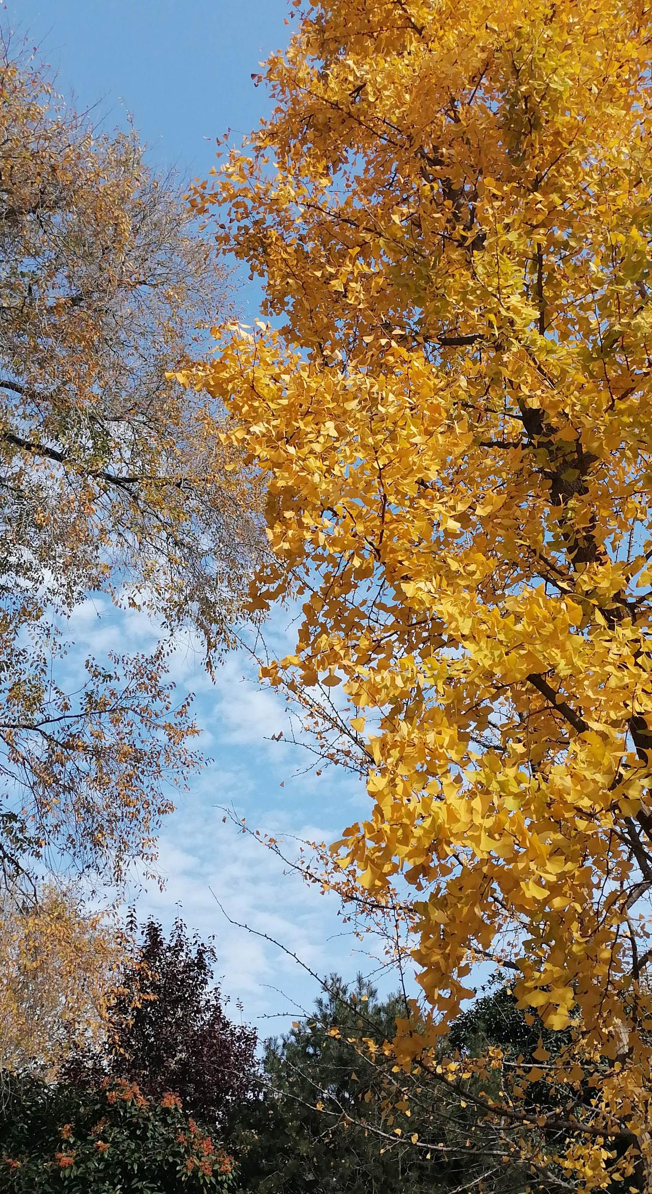 纪录美好生活 冬日生活打卡季