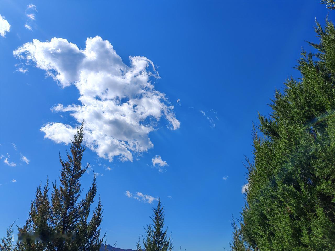 这天气绝了！蓝天像被洗过一样澄澈，大朵大朵的白云在上面飘着，就像棉花糖，自由自在