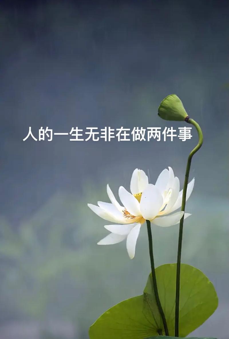 人一生应做两件事
       人一生应坚持两件事：让身体舒服，让心灵自在。
 