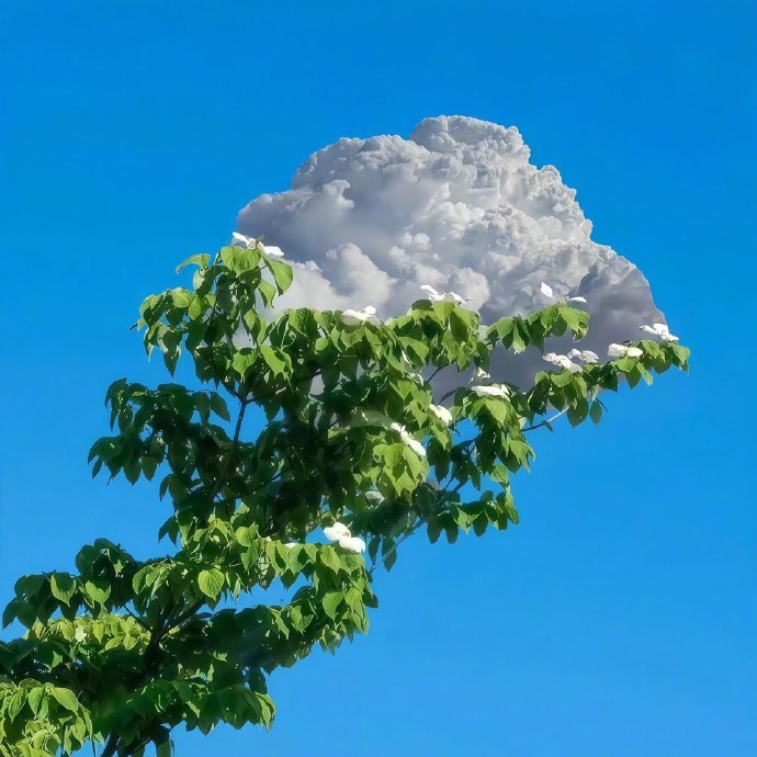 𝗛𝗮𝗽𝗽𝘆 𝗗𝗮𝘆  ˂ ᵒ͜͡ᵏᵎ⁾“人不可能每一步都正确，与