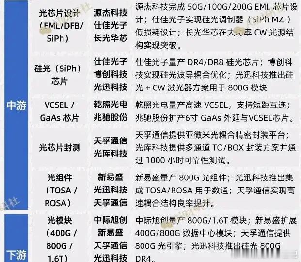 AI算力爆发下的光芯片赛道：确定性红利与十倍级黑马机遇光芯片，作为AI算力网络的
