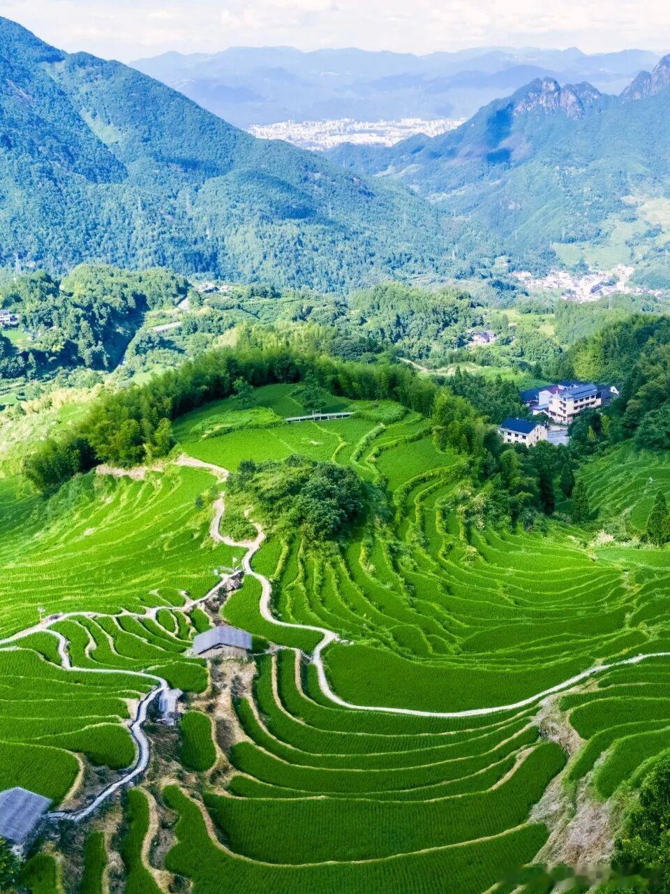 盛夏酷暑难耐，不妨来浙江丽水云和躲一躲！这座藏在浙南山间的小城，盛夏恒温 23℃