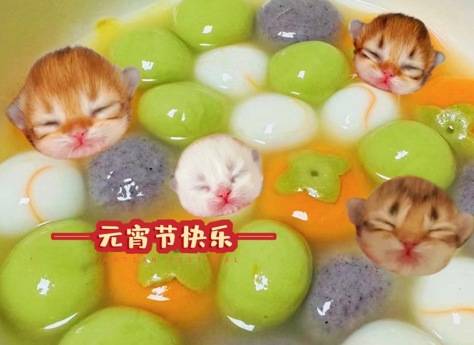 元宵快乐大家 ​​​