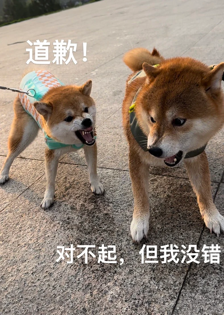 老夫老妻吵架日常