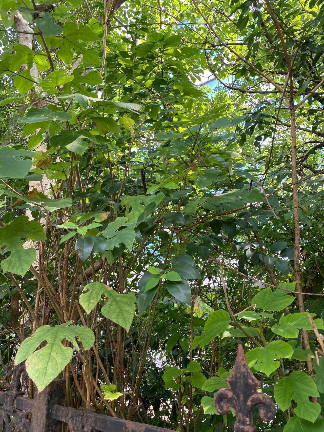 嗯 ，辞职了！

犹豫了很久，还是决定辞掉这份工作，因为真的有太多的不开心了，感