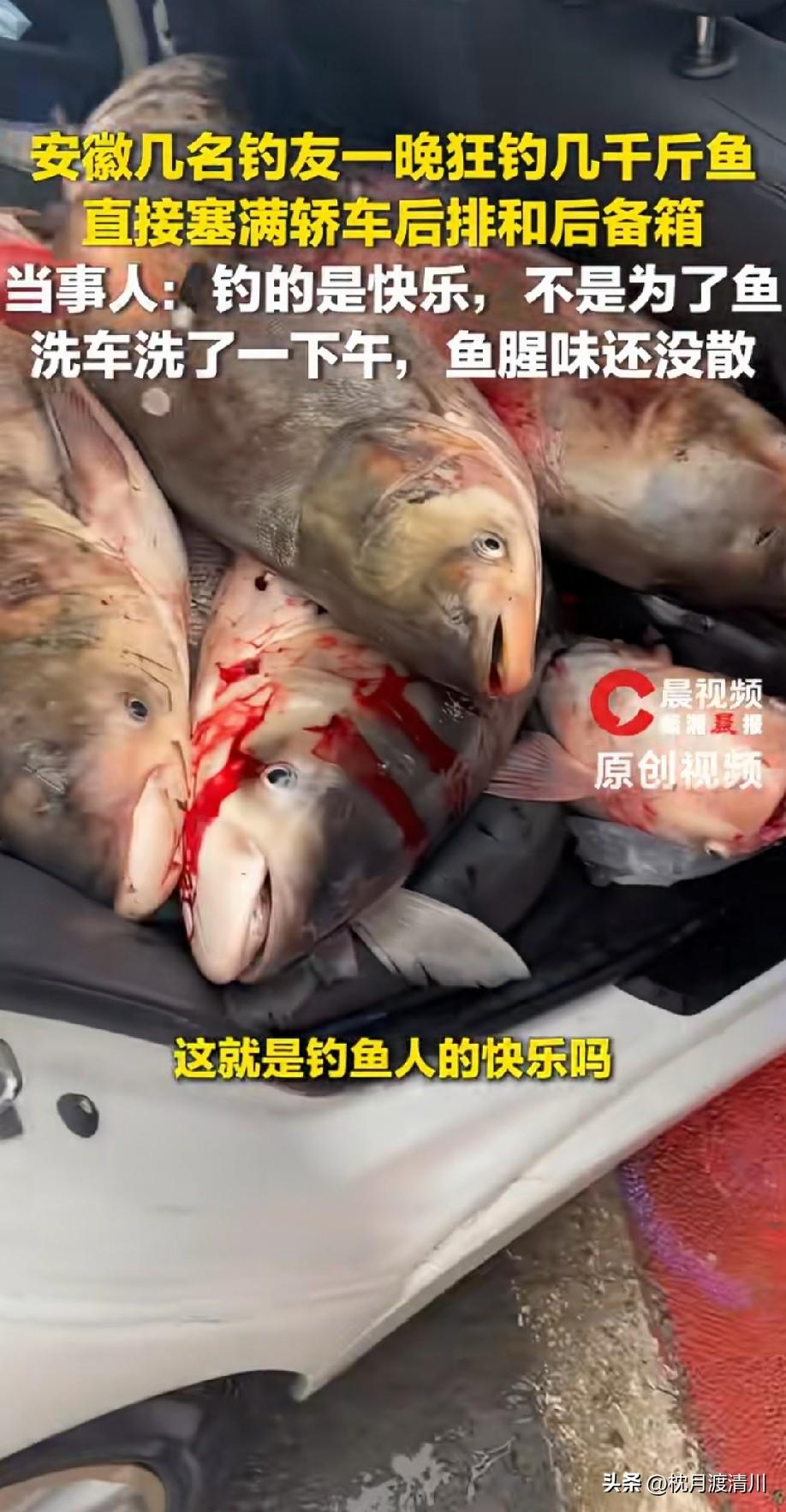 这车还能要吗[捂脸]