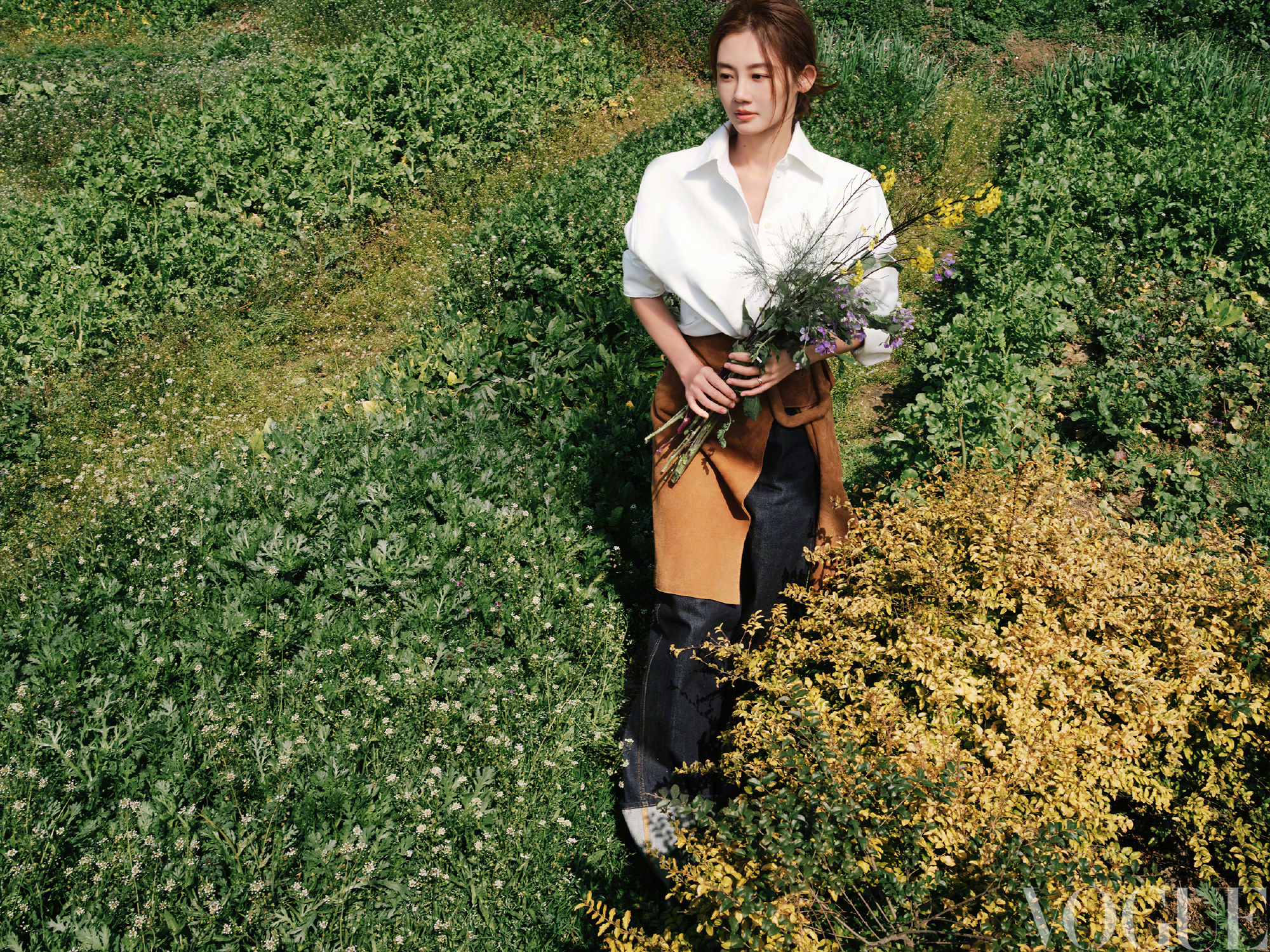 郑恺帮苗苗取名的浪漫寓意郑恺为苗苗菜园取名苗苗种菜IP“草田之上”由郑恺取名，将