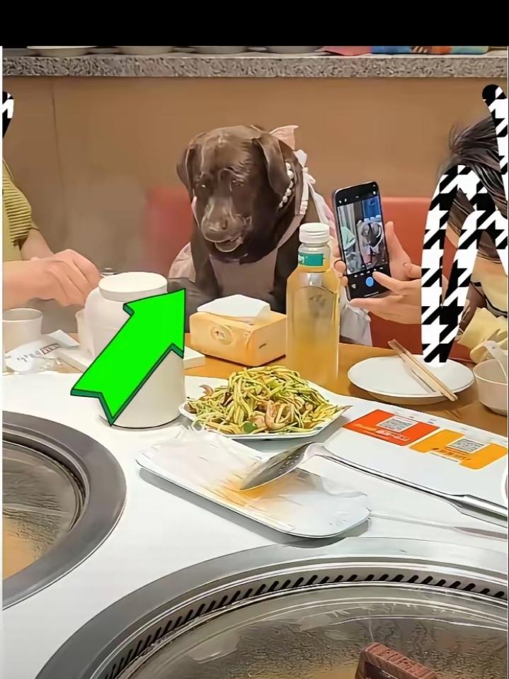 缺大德了，天津市有位狗主给狗过生日，选择一家铁锅炖，还用人用的餐具给狗喂食。引起