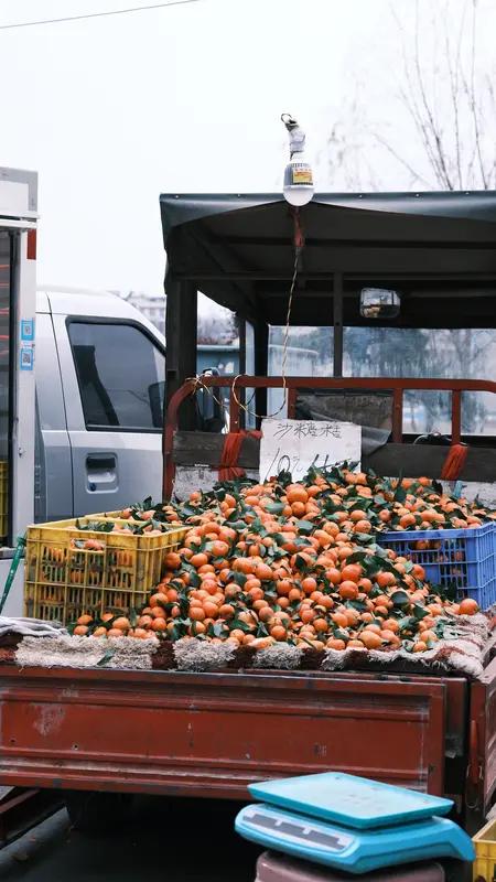 近日，辽宁一位卖砂糖橘的老板可太拼了，直接把砂糖橘做成皇冠戴头上揽客，火出了全网
