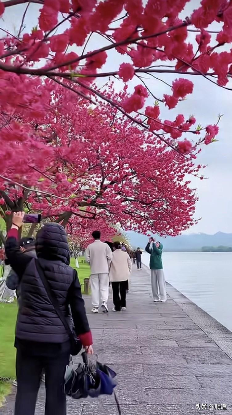 这个要看今日头条的表现了，如果你不离，我肯定不弃。你向我走十步，我肯定向你走10
