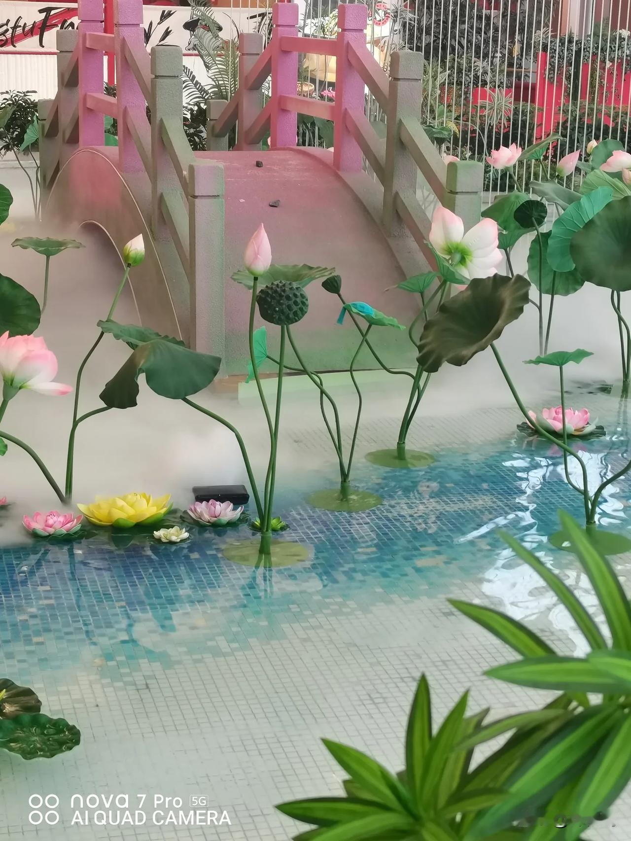 带圆人的梦，梦到过七种情况:

1、身后圆和天命，有过程
你的身后老人有几位，你