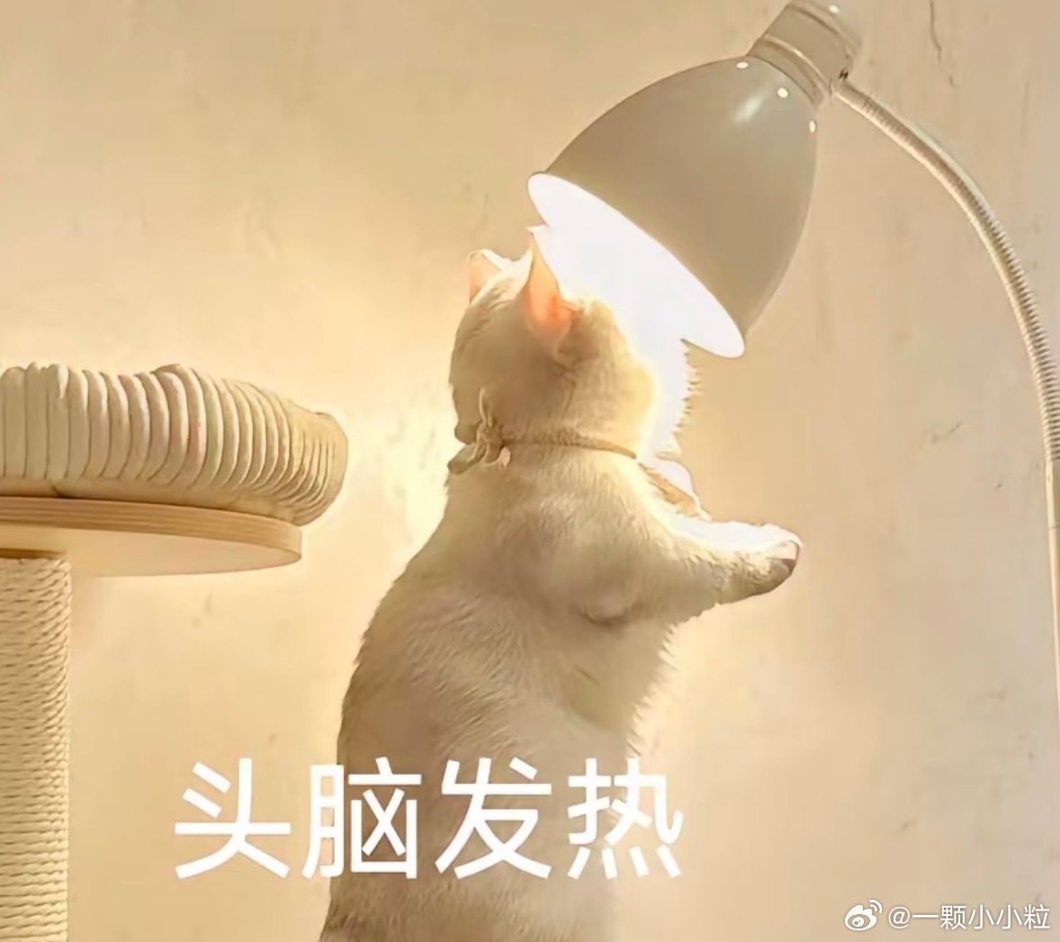 明天自驾去大理！临时决定的哈哈哈哈好期待！！拿驾照后还没开过这么远