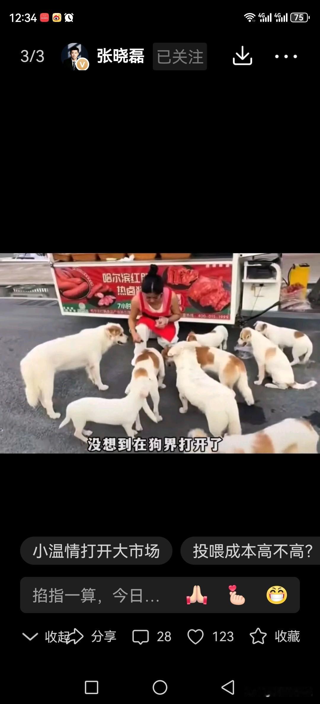 这真的是“有舍就有得”！一个美女摆摊卖哈尔滨红肠icon，随手喂了流浪狗一口，结