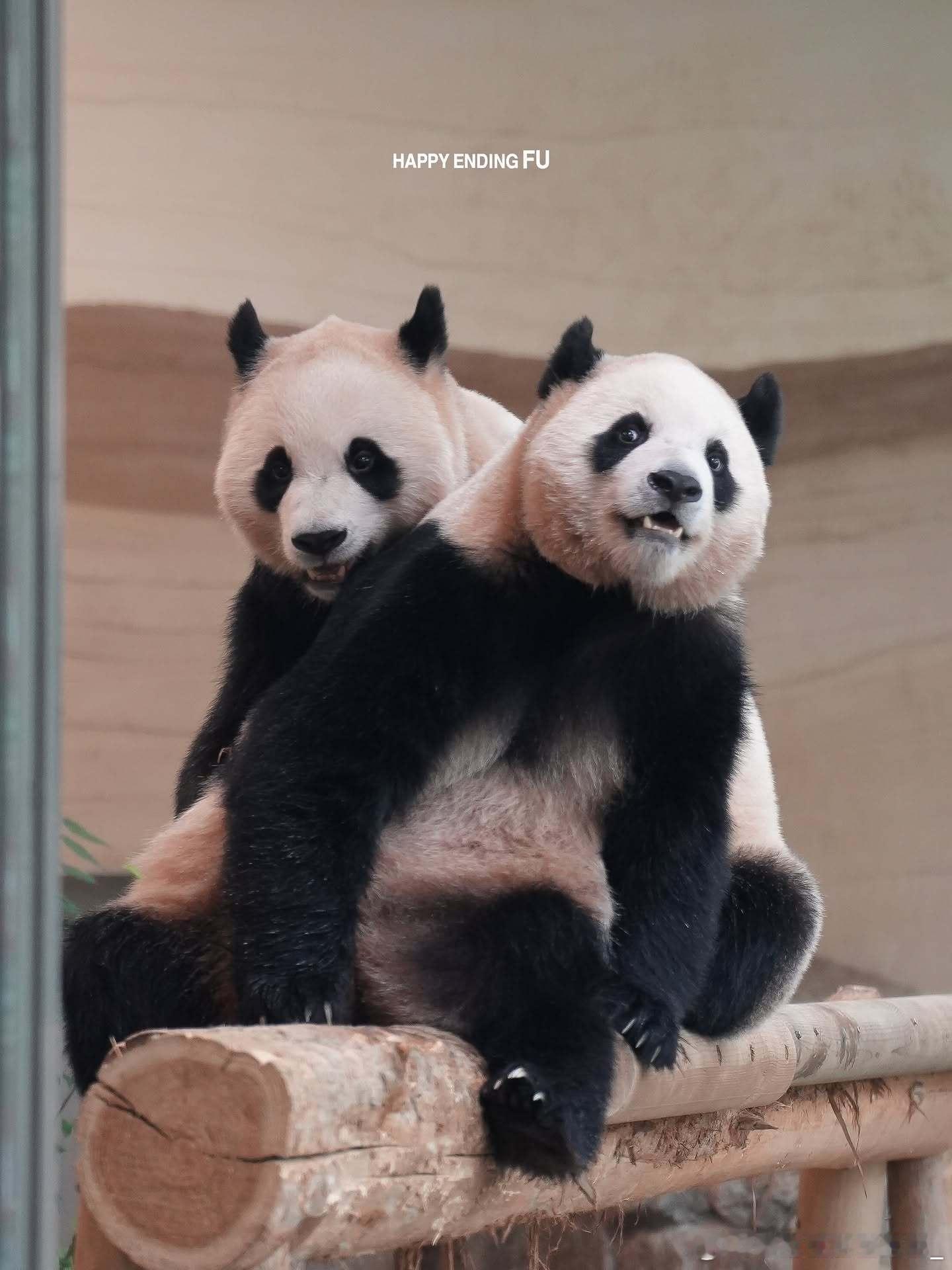 每天早起打卡早上好～ 
