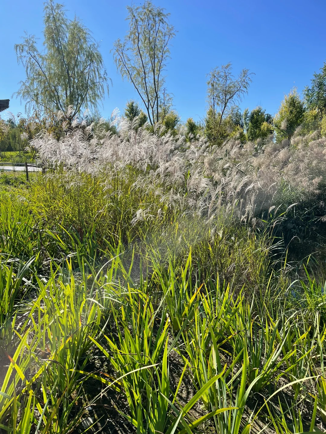 你正在疗愈自己的7个迹象