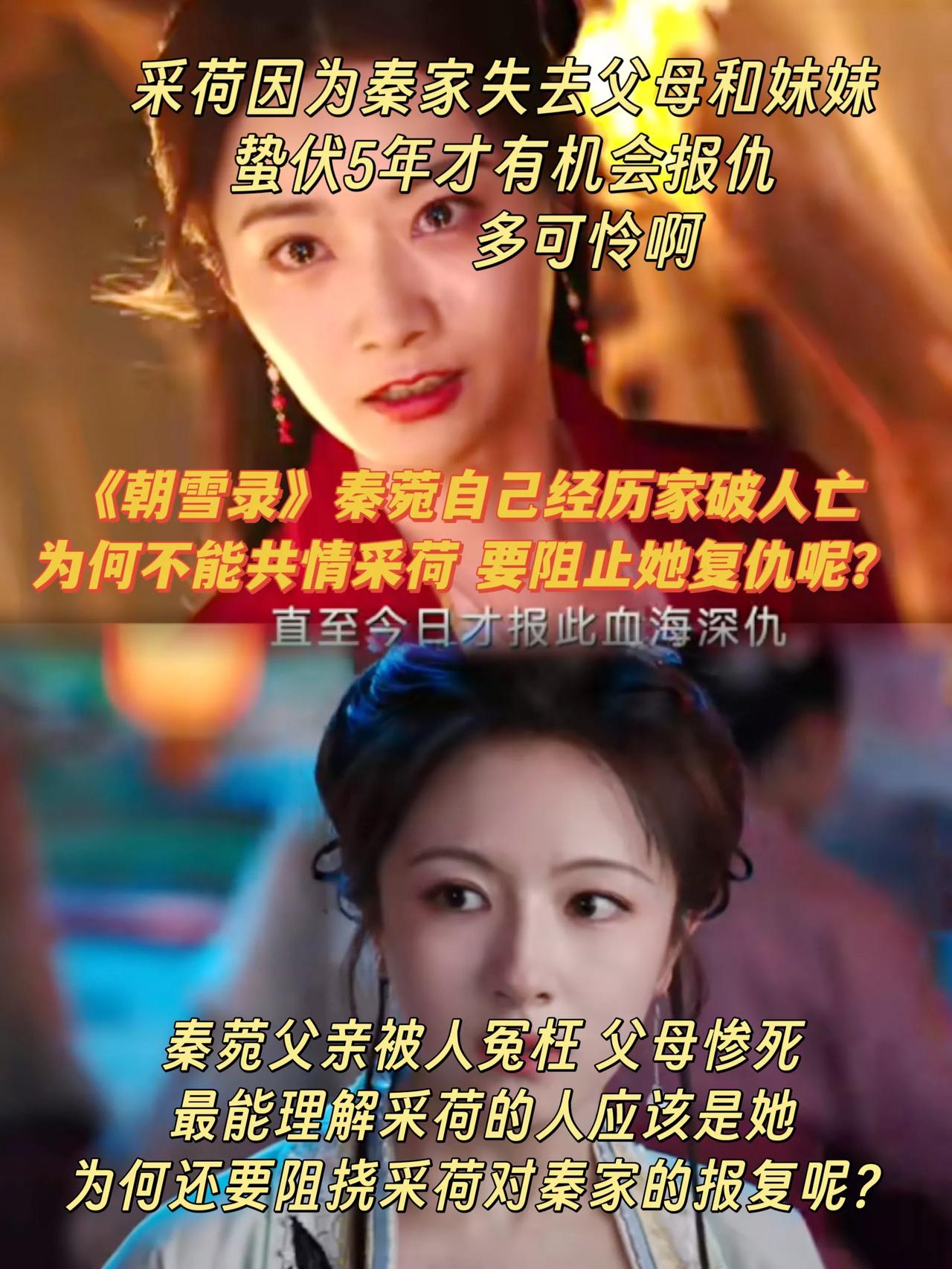 《朝雪录》沈菀被害家破人亡，为何还要阻止采荷复仇？[what]
沈菀自己都是因为