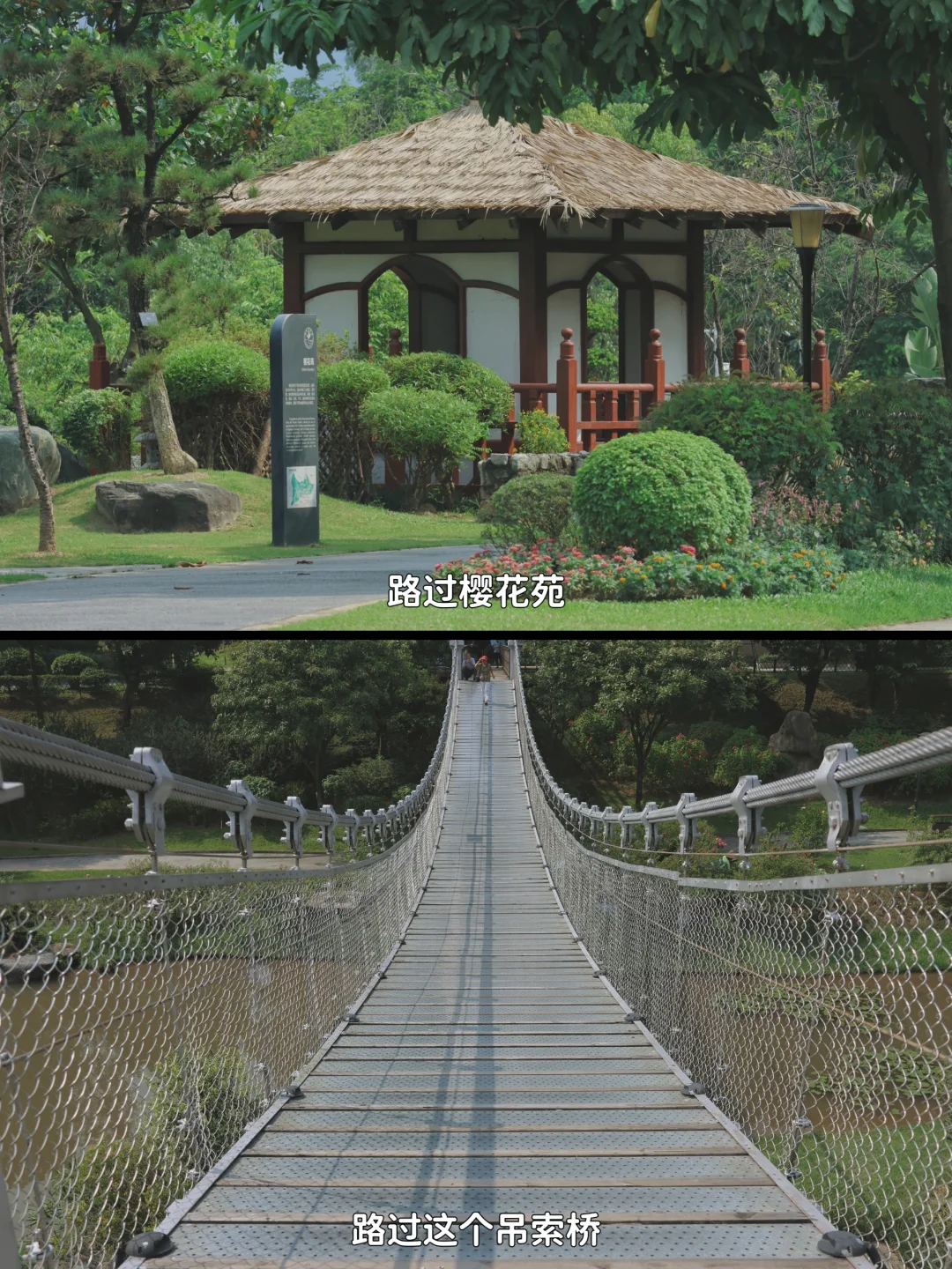 我觉得 东莞这么一天我安排的还不错❗